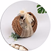 Eco Friendly Gifts